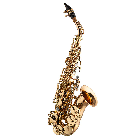 Сопрано саксофон Orfeo 10 Series изогнутый Сопрано саксофон Orfeo 10 Series изогнутый